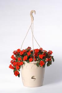 Závesný kvetináč + hák ONDINE, 26,4 x 23,5 cm, béžový - Závesný kvetináč + hák 27 NJ WR 27 x 16,2 cm, fialový | T - TAKÁCS veľkoobchod