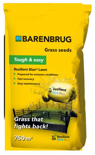 Barenbrug trávové osivo Resilient blue lawn 5 kg  - Ďatelina lúčna osivo C1 Spurt / Agil 250 g | T - TAKÁCS veľkoobchod