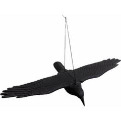 Vrana s roztiahnutými krídlami 80x11x45 cm - Novinky | T - TAKÁCS veľkoobchod