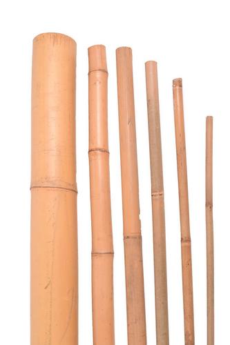 Bambusová tyč 300cm / 20-22mm, 100ks/bal. - TAKACS eshop