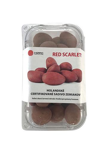 Zemiaky minisadba 1kg Red Scarlett AB červená šupka VD75 VS 28/35mm Gen.A - TAKACS eshop