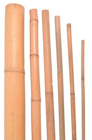 Bambusové tyče do záhrady - Záhradné tyče a zásteny | TAKACS eshop