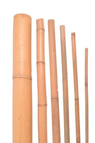 Bambusová tyč 120cm / 8-10mm, 20ks/20bal. Zväzok - TAKACS eshop