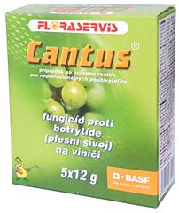 CANTUS (5 x 12 g)