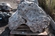 Solitérny kameň, hmotnosť 930 kg, výška 160 cm - Foto0